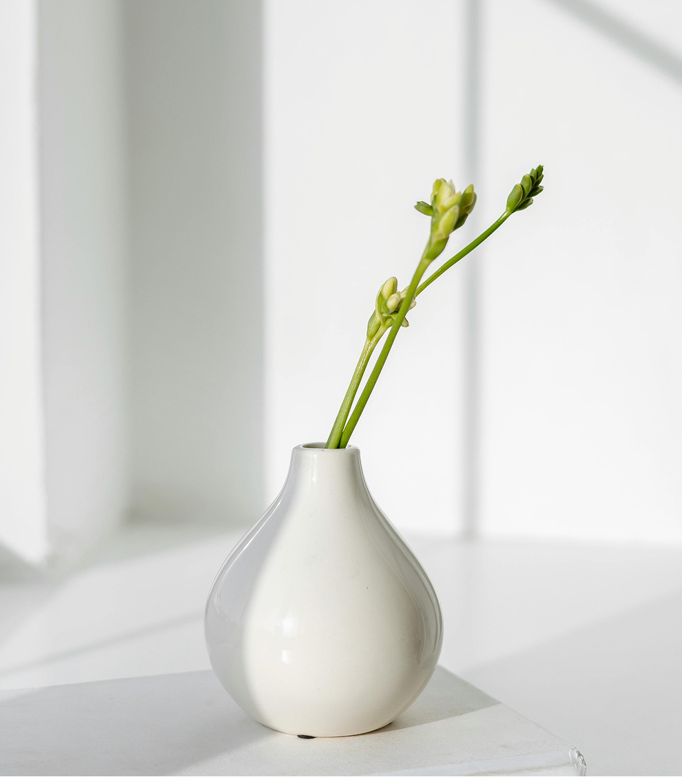 Product-image-#2