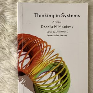 Thinking in Systems: A Primer